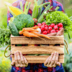 Case Study: Organic Food Business!