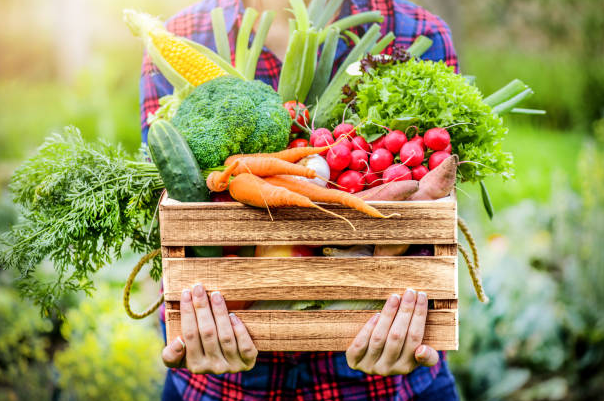 Case Study: Organic Food Business!